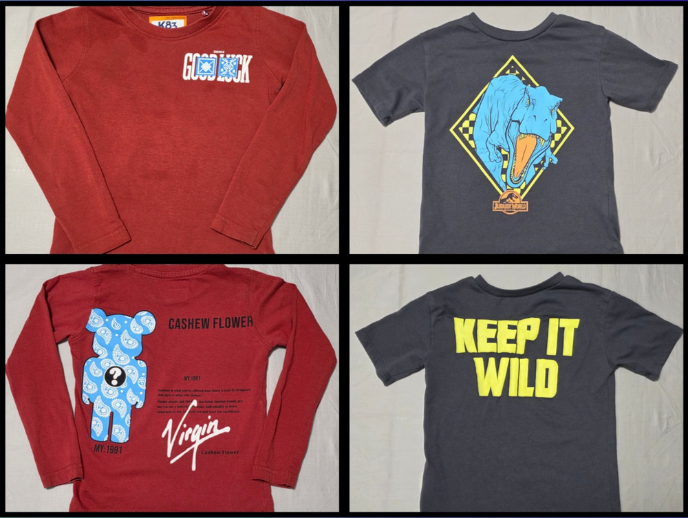 Lot of 2 T-shirts for Boys Jurassic World T-Rex -K83 Cashew Flower Long Sleeve